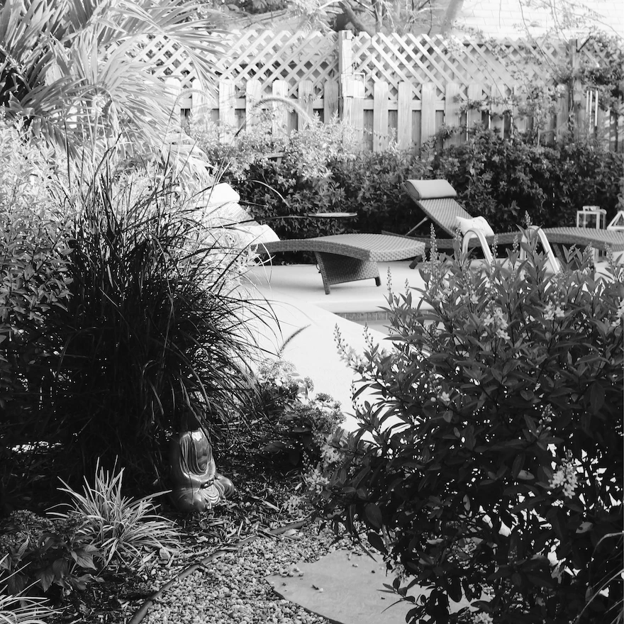 Family in Yard